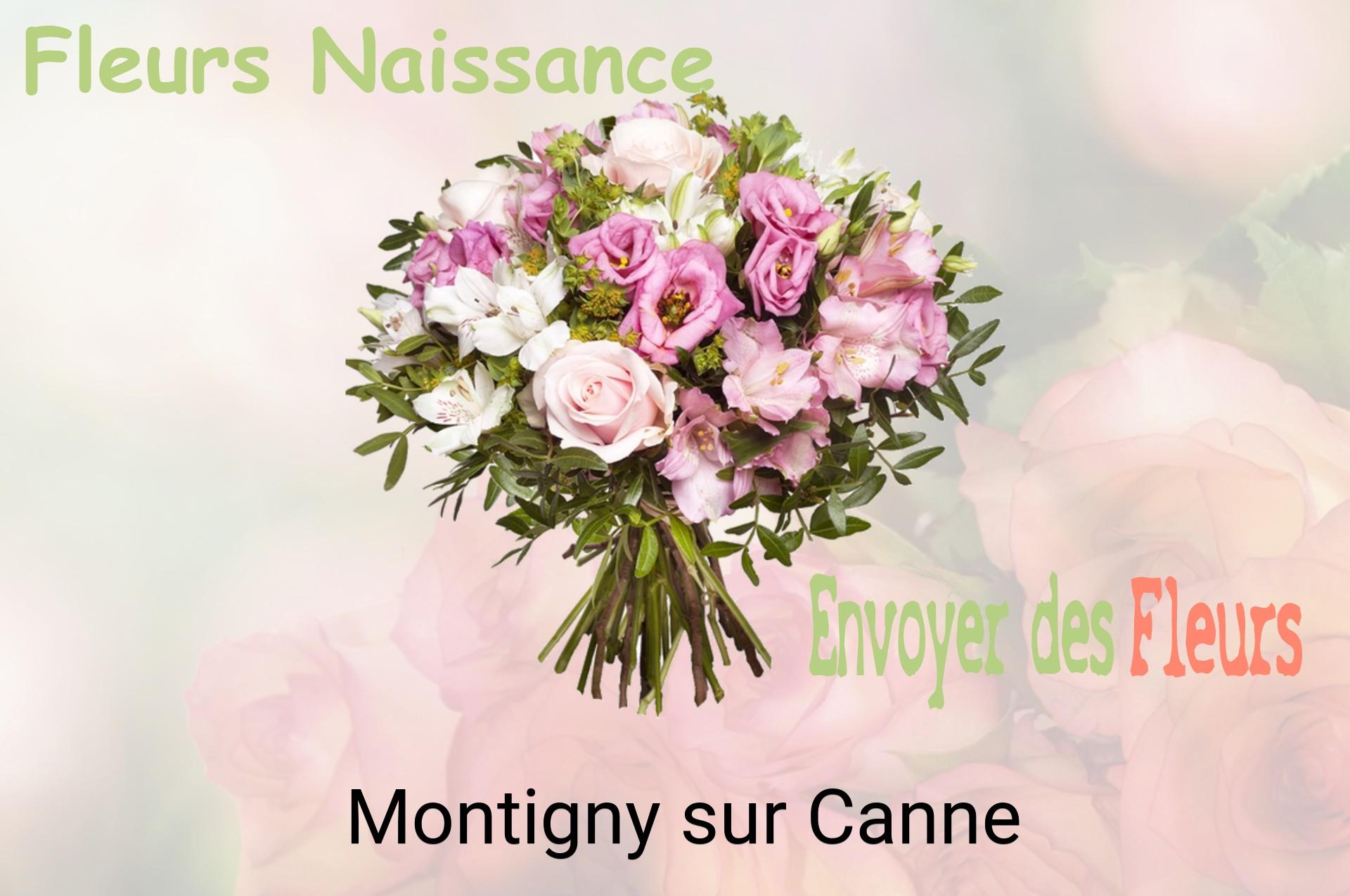 Bouquet de fleurs de naissance livré à Montigny-sur-Canne