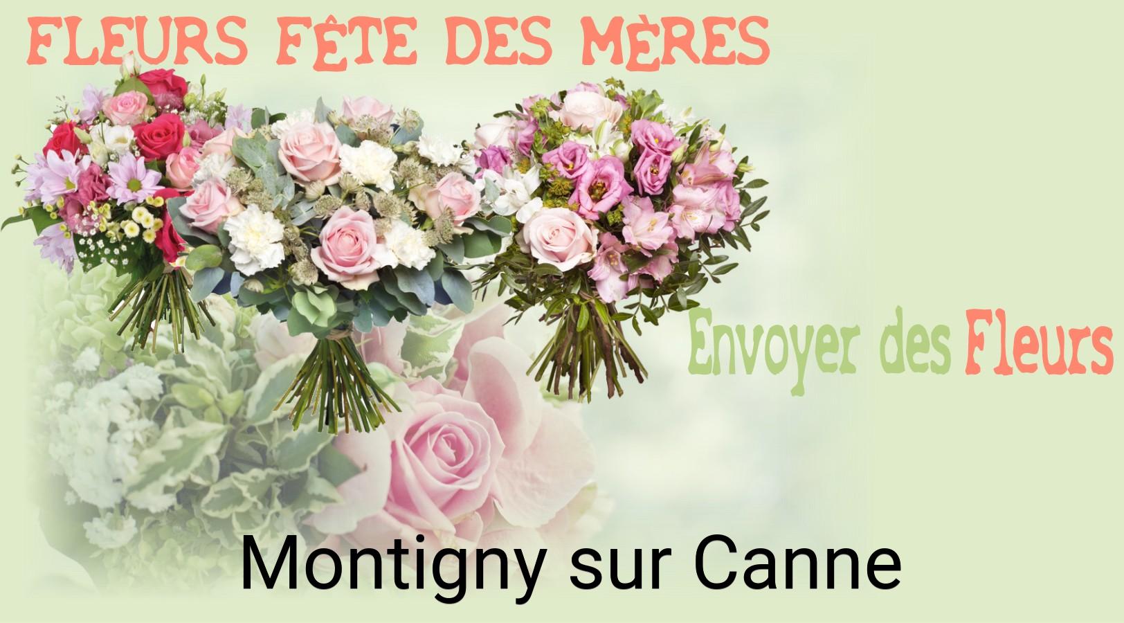Bouquet de Fête des Mères livré à Montigny-sur-Canne